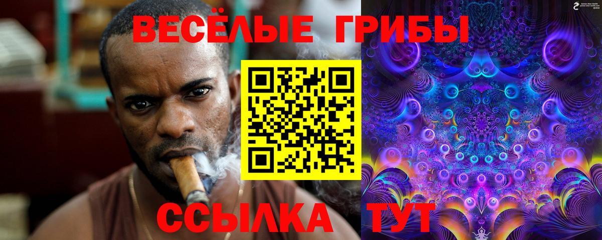 Псилоцибиновые грибы мухоморы Петропавловск-Камчатский